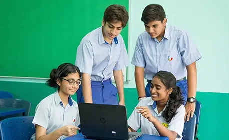 Multiple Curricula Pathways